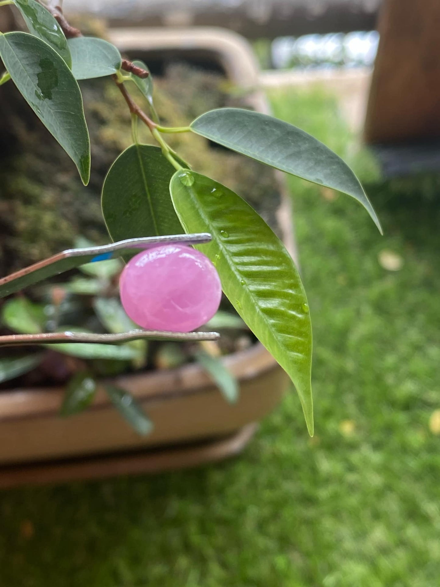 Pink Ruby 9.9 Carat