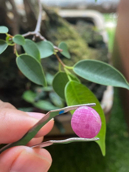 Pink Ruby 8.5 Carat