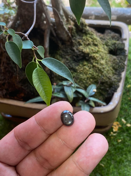 Black Star Sapphire 6.20 Carat