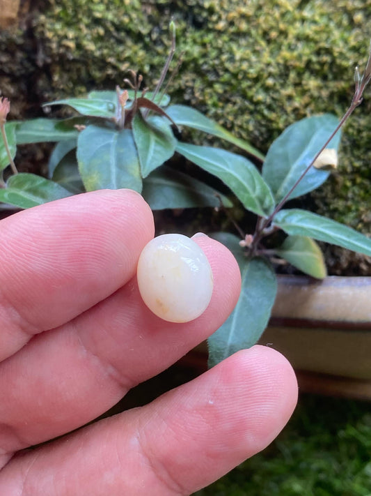 White Sapphire 8.3 Carat