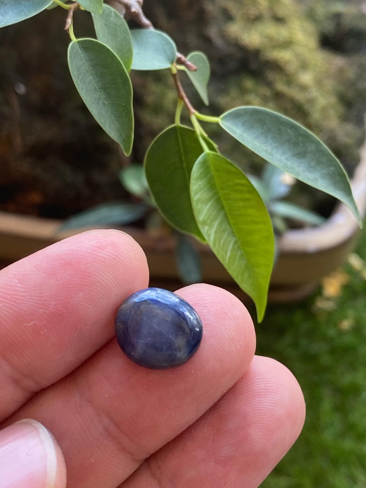 Dark Blue Sapphire 8.65 Carat