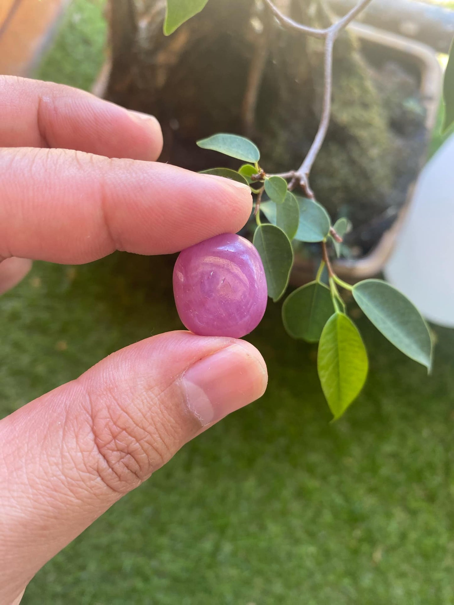 Pink Ruby 35.6 Carat