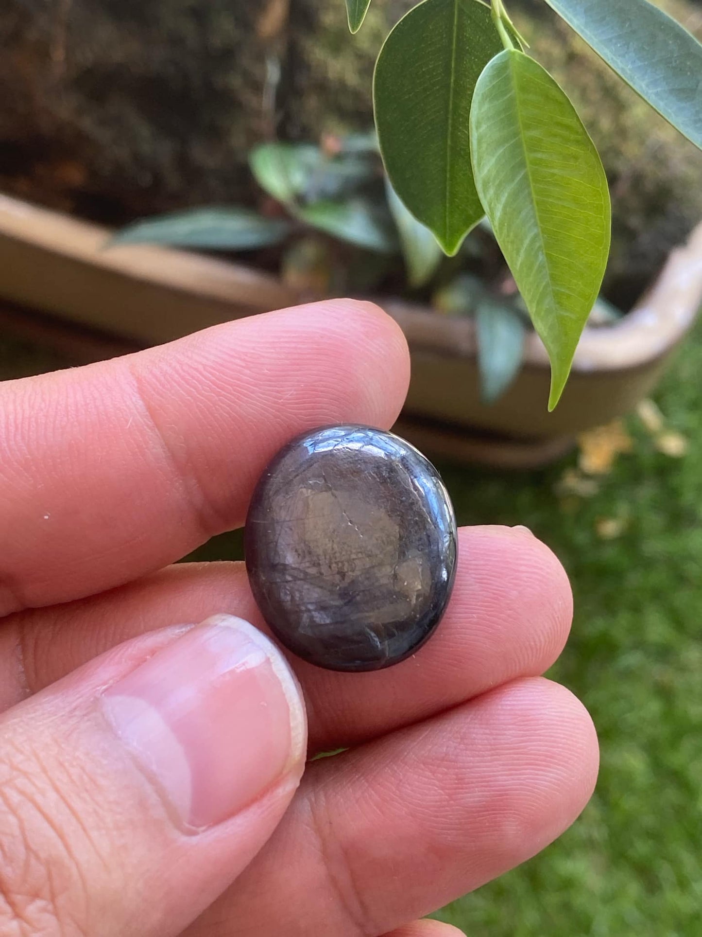 Dark Blue Sapphire Cat Eye 39 Carat