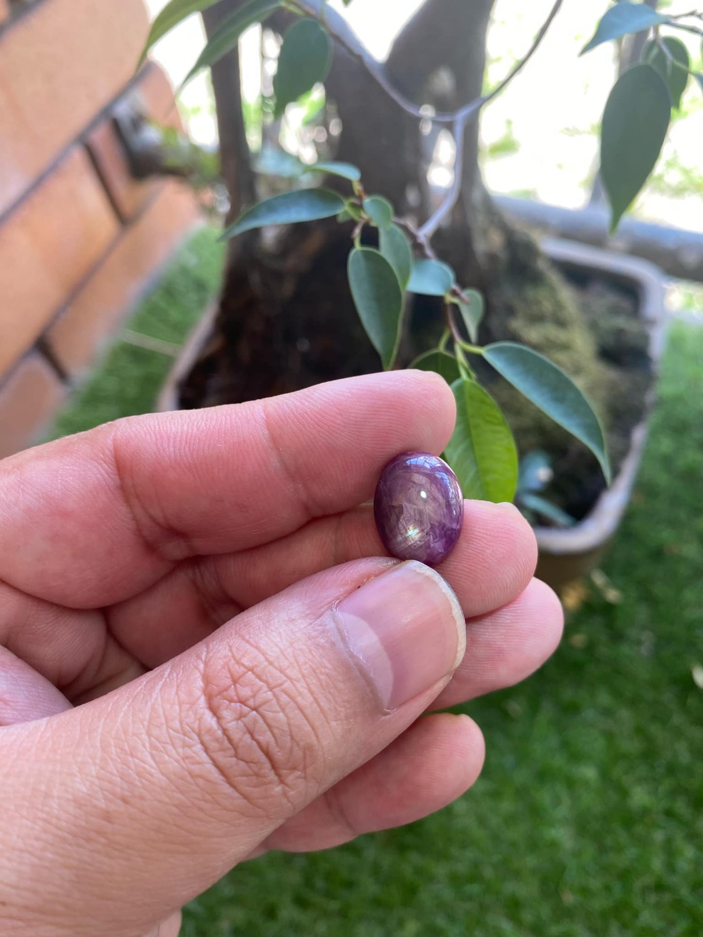 Purple Star Sapphire 13.9 Carat