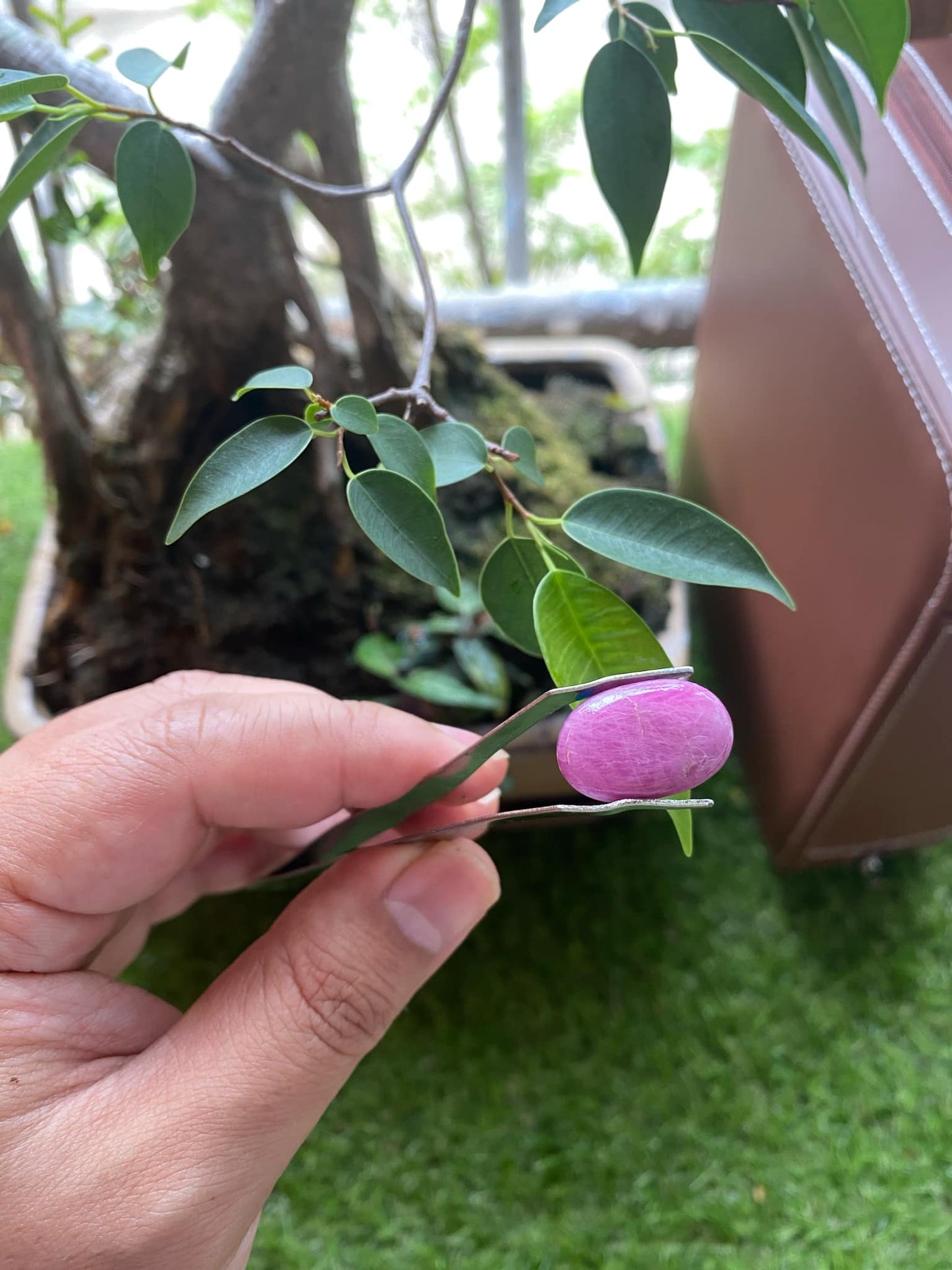 Pink Ruby 19.5 Carat