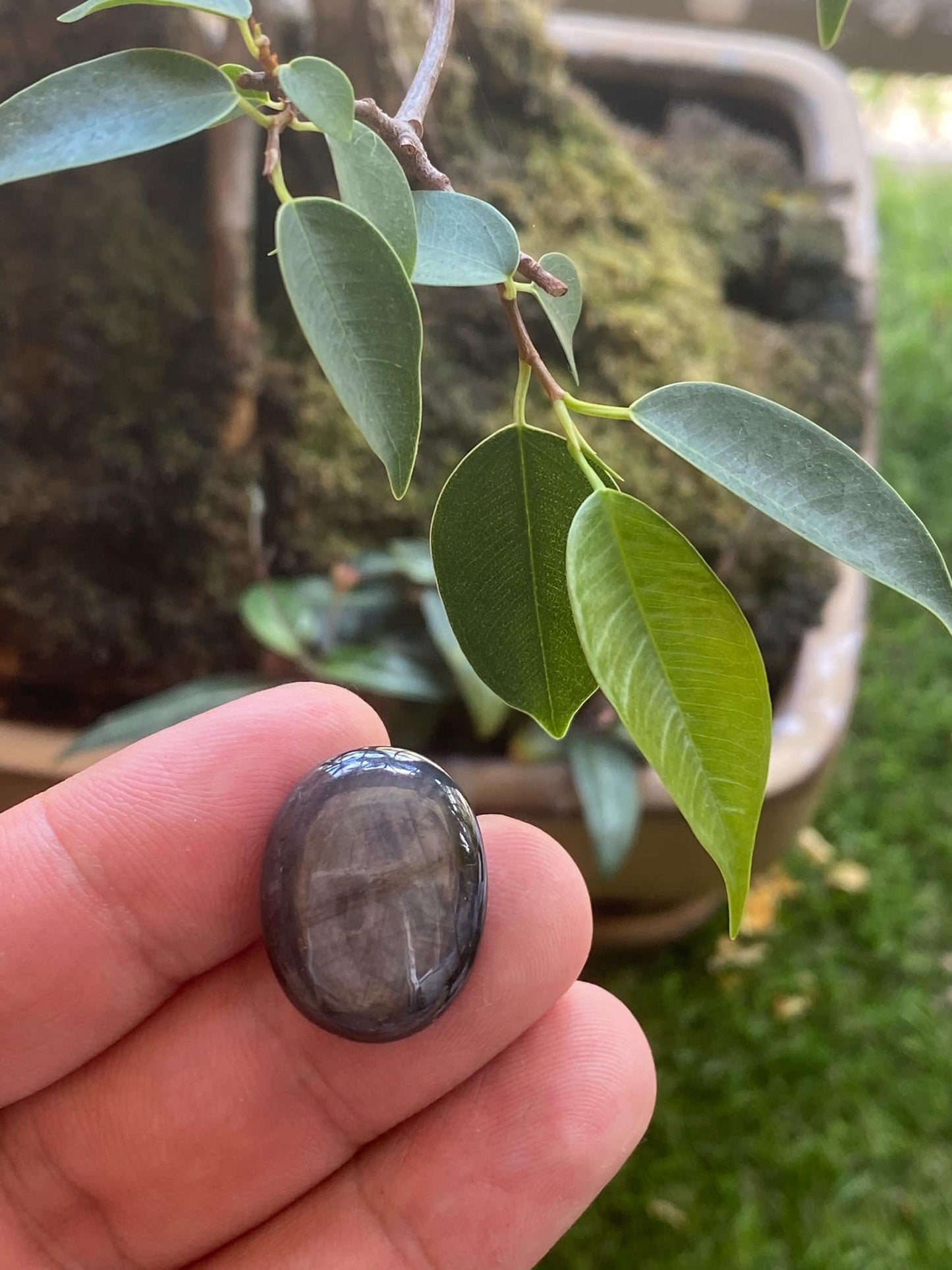 Blue Sapphire Cat Eye 36.4 Carat