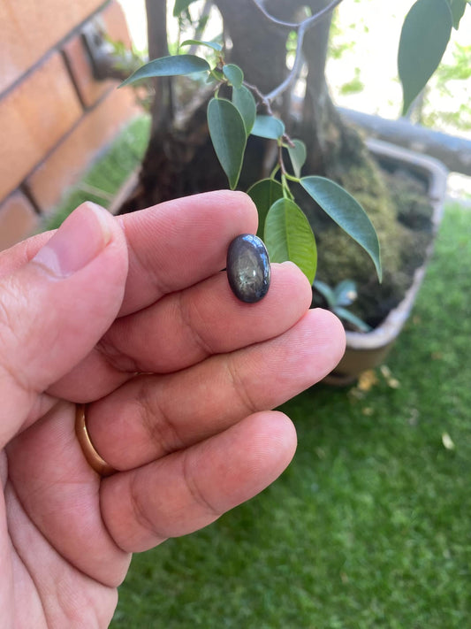 Dark Blue and Black Sapphire 8.7 Carat